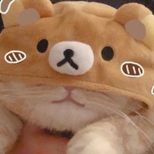 Meet your Posher, Curtis